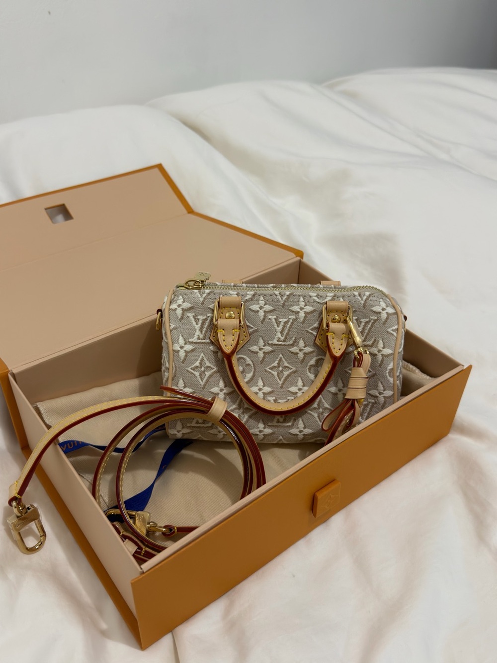 Louis Vuitton Nano Speedy in Monogram Embleme